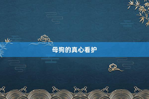 母狗的真心看护
